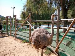 -羊亭河湿地公园