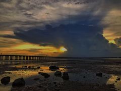 -宝安西湾红树林湿地公园