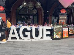 -布拉格餐厅· 中欧捷克菜(全国首店)