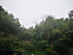 -韶山毛泽东同志故居