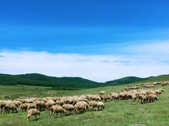 -塞罕坝国家级自然保护区