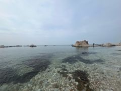 -养马岛旅游度假区
