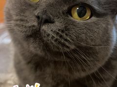 -德润福严氏烧麦总店(友谊路总店)