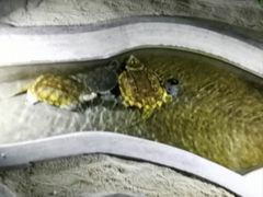 -泉城欧乐堡海洋极地世界