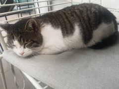 -UNIUNI(凯瑟琳广场店)