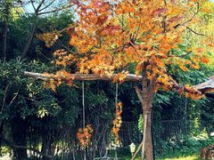 -HERRE·FARM 赫尔露营农场·团建聚会包场