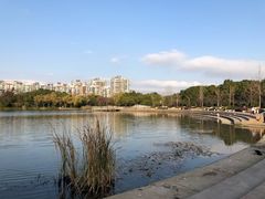 -新江湾城公园