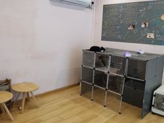 -猫咪派对(江南西店)