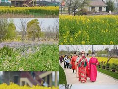 -杭州湾海上花田景区