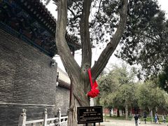 -关林