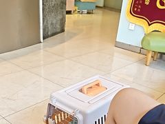 -瑞派申生动物医院·24H夜诊·国际动物医疗中心·骨外科(吴中路店)