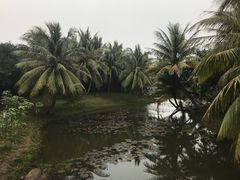-白沙门生态公园