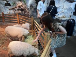 -Zoolung Zoolung动物主题公园(海信广场店)