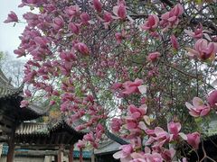 -西安化觉巷清真大寺