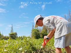 -前小桔亲子创意农场·草莓采摘·露营烧烤