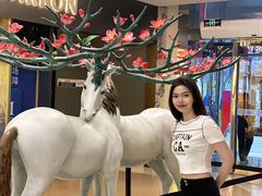 -红星美凯龙北京至尊MALL(东四环中路店)