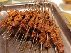 -福苗小骆驼烧烤(莲湖路店)