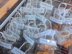 -蓝湾碧波·老字号·疍家非遗海上餐厅