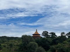 -磬锤峰森林公园