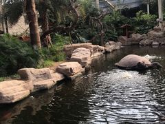 -龙达温泉生态城