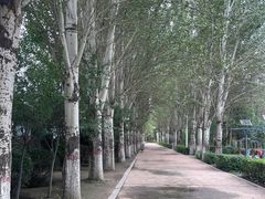 -青城公园
