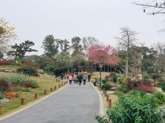 -东莞植物园