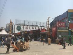 -中环花鸟鱼虫市场