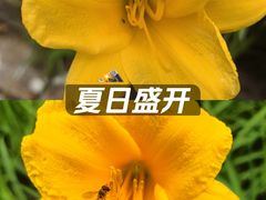 -南长河公园