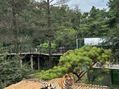 -云南野生动物园