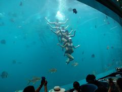 -瑞德姆美人鱼海底演艺主题餐厅(亚龙湾店)