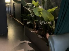 -涟LIAN·泰式按摩·MASSAGE·SPA(华强北店)