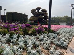 -厦门园林博览苑