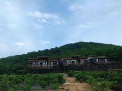 -金石滩蓝莓谷庄园