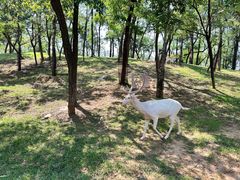 -秦皇岛野生动物园