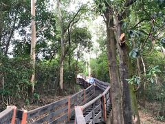 -水濂山森林公园