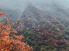 -秦岭终南山世界地质公园翠华山景区
