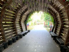 -合肥滨湖国家森林公园