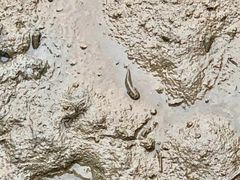 -北海金海湾红树林生态旅游区