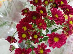 -米莱欧百货(吉利店)