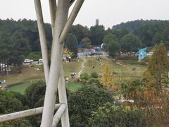 -铁山坪森林公园