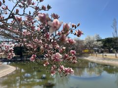 -国家植物园南园