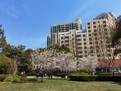 -徐家汇源景区-衡山公园