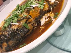 鱼-茶啊冲电影主题文化餐厅(TOUCH12街店)