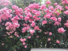 -长江路历史文化街区