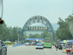 -大青山野生动物园