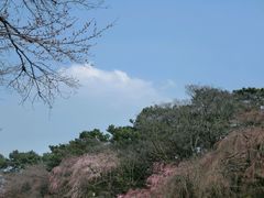 -名古屋城