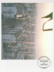 -克拉女神写真馆·匠心定制