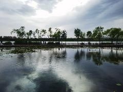 -绿堤公园