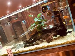 -黄鱼炙夜(华家池店)