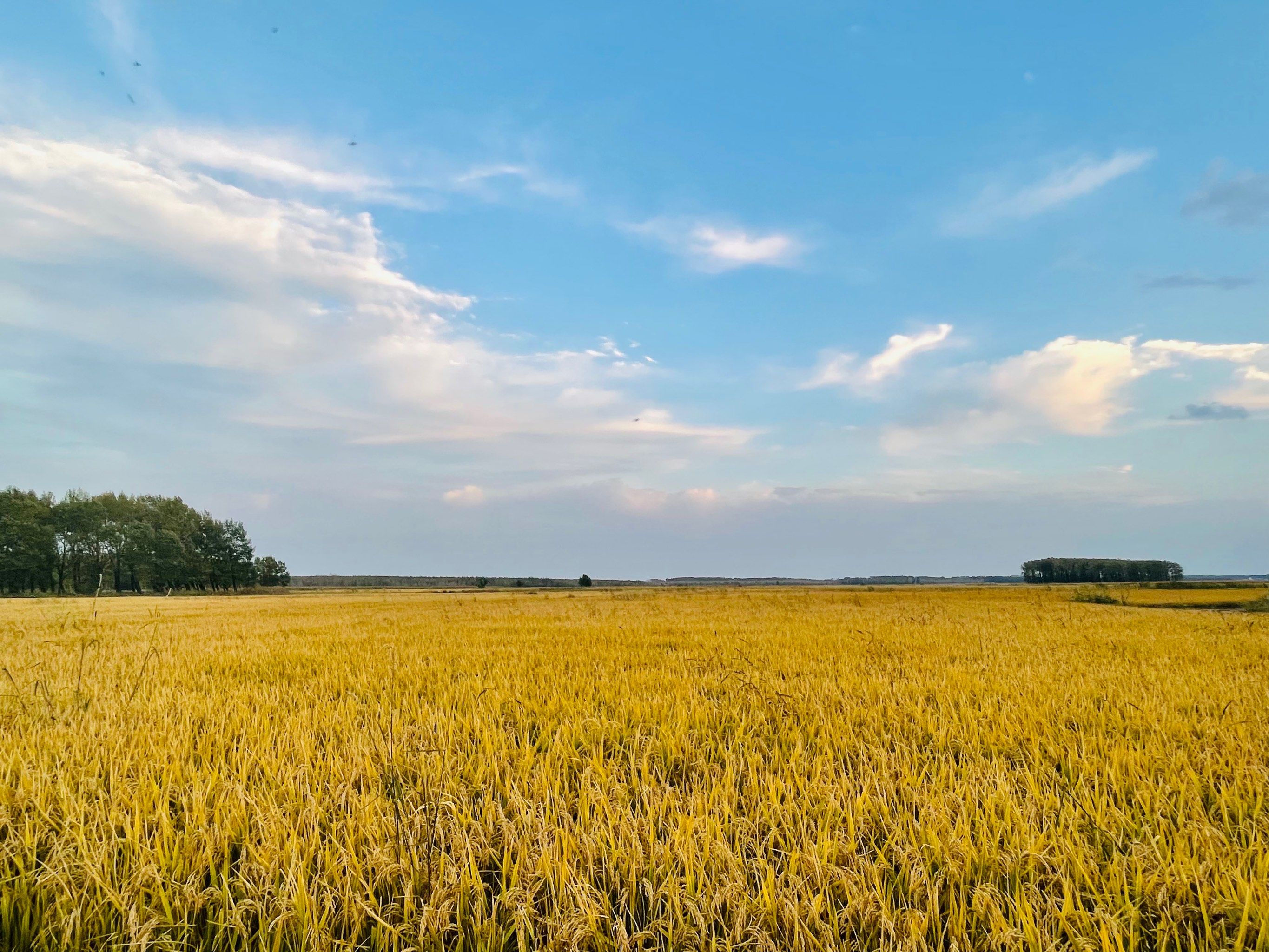 长春周边游-太平池水库